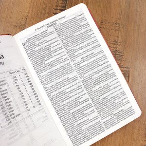 Bíblia Sagrada 860 | ARC | Letra Normal | Com Harpa Avivada e Corinhos | Capa Leão Laranja