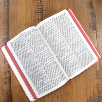 image_09d0bbe3-ee75-4c21-a69c-c743c89fe2cb