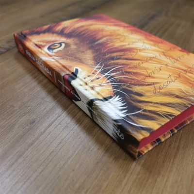 image_a3e55cac-3345-4b96-acd4-a714c9f74c0f