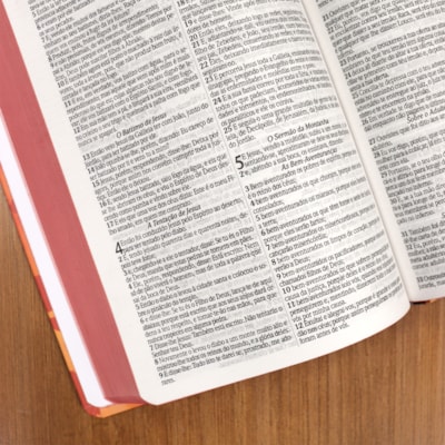 image_7c770658-bdc0-4593-8d04-1ae2b0a68b36