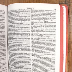 Bíblia Sagrada 860 | ARC | Letra Normal | Com Harpa Avivada e Corinhos | Capa Leão Laranja