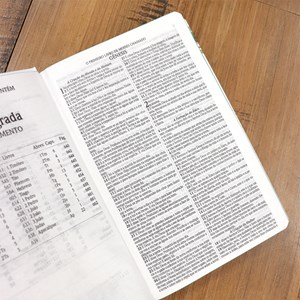 Bíblia Sagrada 860 | ARC | Letra Normal | Com Harpa Avivada e Corinhos | Capa Magnólia Branca