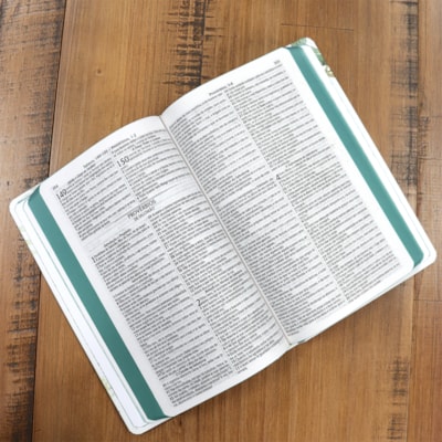 image_fbdc449d-0ec0-488f-acfa-47873cf97da0