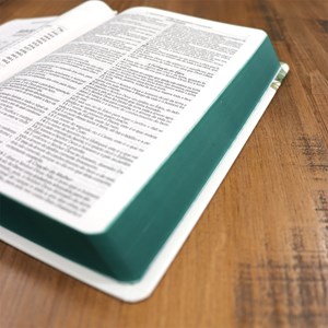 Bíblia Sagrada 860 | ARC | Letra Normal | Com Harpa Avivada e Corinhos | Capa Magnólia Branca