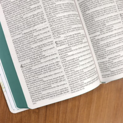 image_d4d983a7-9f23-407b-b9f1-badcee710000