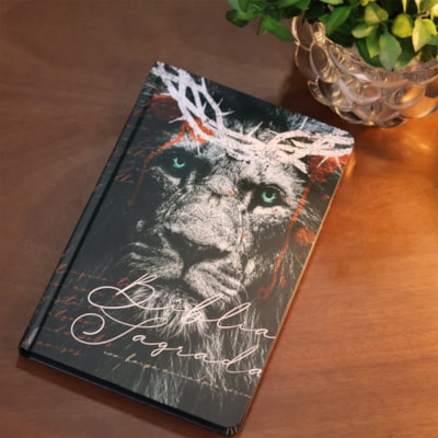 image_e22d72e8-401f-49d2-bf85-3b7b5d6160b8