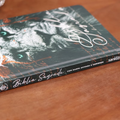 image_efa48733-09a7-45cc-b19c-5a6a4fa7024b