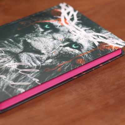 image_c749348d-b5c2-4bf9-ab6b-4fe965cfcf58