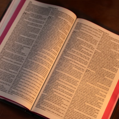 image_2433ee64-d244-4e28-8fa7-fb81187b31d3