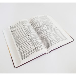 Bíblia Sagrada A Rocha que Sustenta | NVT | letra Normal | Capa Dura