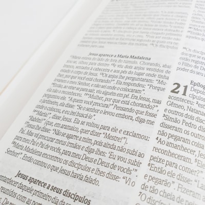 image_e851b59e-4ebb-44ed-880e-50c0559ee40e