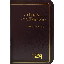 Biblia Sagrada | A21 | Letra Gigante | Capa Luxo Bordô