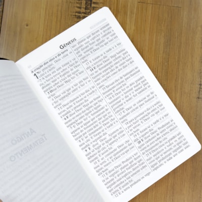 image_4b3c0614-844f-42f4-981d-f96facb44636