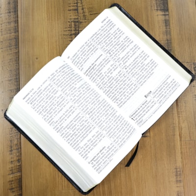 image_b0a3c5b5-dbc4-4339-910a-63cdddd41ef1