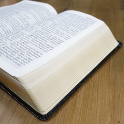 image_0db8b7d2-cbb3-49a9-9c73-3c7f573d6a3f