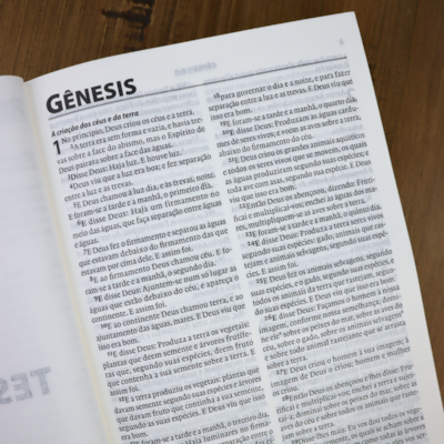 image_ca2ef0b8-38c1-4141-84cf-802e5329a583