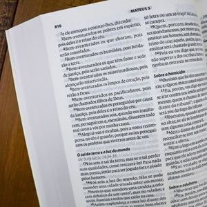 Bíblia Sagrada | A21 | Normal | C/ Referencias Cruzadas | Capa Brochura Verde e Cinza