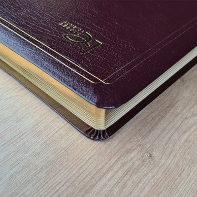 image_3be50043-738f-4163-8d4d-e0ae58511aab