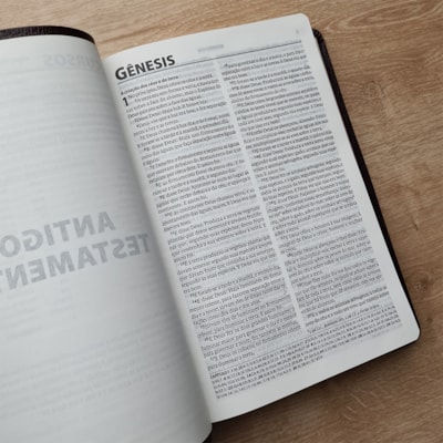 image_e8d68fef-dff7-47c8-959a-e3ffe1bef5e7