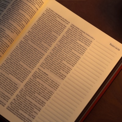 image_359796dd-581e-415d-b9e5-20ea843487a3