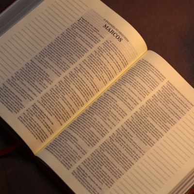 image_d779004c-684b-423a-a8ff-4b358816f8d0