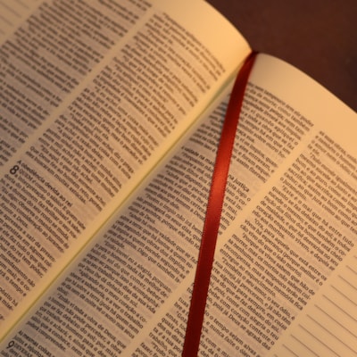 image_6bb3c238-50c3-4650-a223-02236198424c