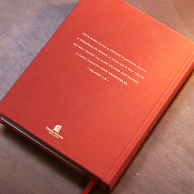 image_17b87626-6b41-48e2-851e-7124385b99a2