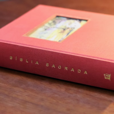 image_b081d62e-0972-4566-a581-1c6a6e470977