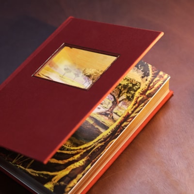 image_addf816a-ef1c-4498-af76-aada44dfa504