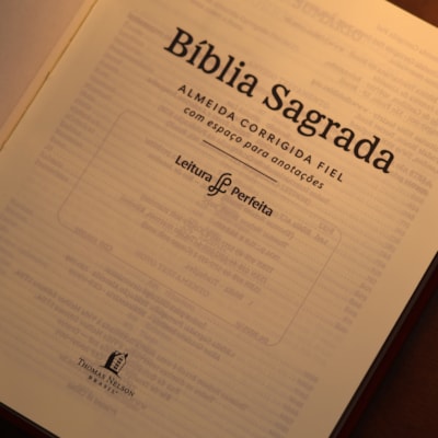 image_db551d0e-6181-4eb3-b26f-131368036b1b