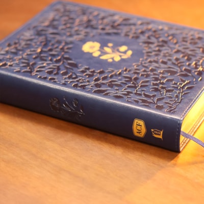 image_b7eedad2-b0b5-4622-a1cb-2059d550e707