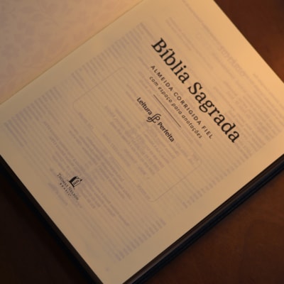 image_d328f47a-c28c-4b59-8bf3-eb4b83d09107