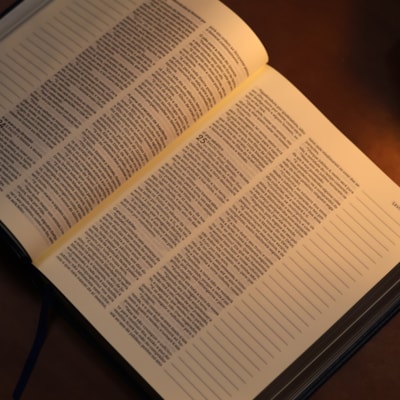 image_8d572cde-af2c-412a-8a65-e38790a8a9eb