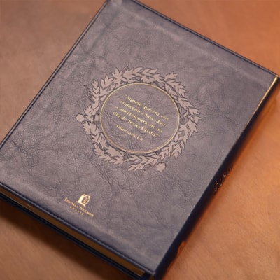 image_392315da-6fd2-4f7d-882b-6090784c9f67