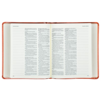 image_e8deed89-5af8-42a3-a9ad-cfe034de24e2