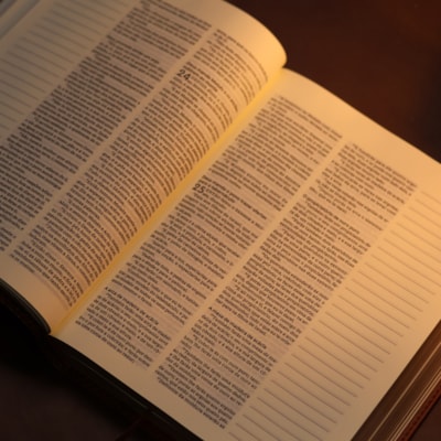 image_e7611c7d-7cec-4fa7-915a-414db92acdda