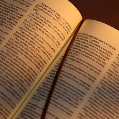 image_0c755c87-acf0-46ec-b177-66dfece4c746