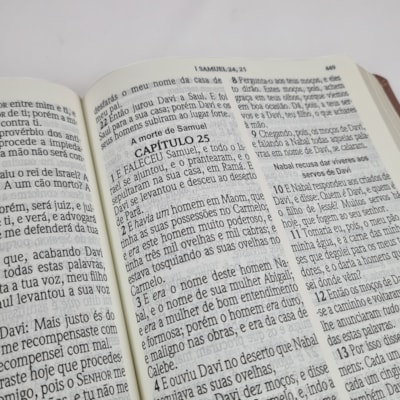 image_d7e664a9-9bee-409e-b3cb-beda1cbd1370