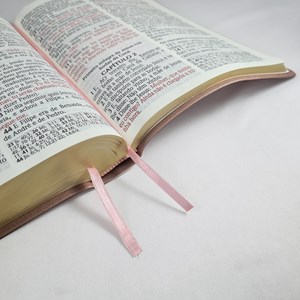 Bíblia Sagrada | ACF | Hiper Legível | Capa Luxo Rose Gold