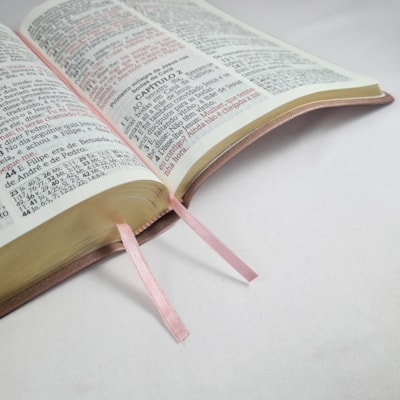 image_6ac1a7ff-2e76-4d09-a0b0-ae70a6b1c759