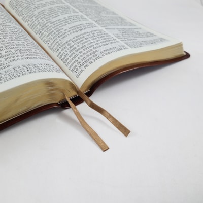 image_8fc35e7d-05ee-455f-b98c-770097f3b8ad