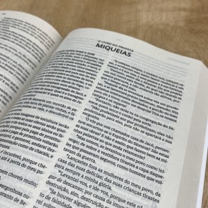 Bíblia Sagrada | ACF| Leitura Perfeita | Brochura Verde e Hush Pink