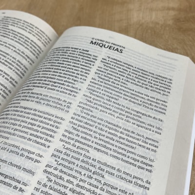 image_1774bafd-4b2a-4bdd-8b49-afa976fb4cfc