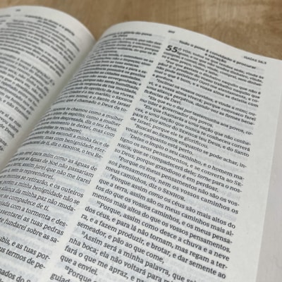 image_fd297453-ca18-4395-83db-1fccba69c801