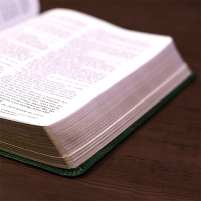 image_431e9d28-d74f-424e-bb5d-b5fade65787b