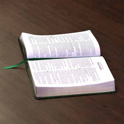 image_425b3c9c-81eb-4ccc-bd9a-a8a35f17646e