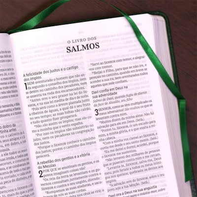 image_eaa646fc-d574-4761-8894-4f344356a66a