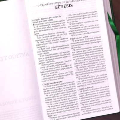 image_c97d0e9f-be0d-4f7f-af57-e12dbba0cbf4