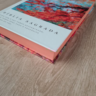 image_5ec25a51-e874-4b44-a542-1bb2da29d0ac