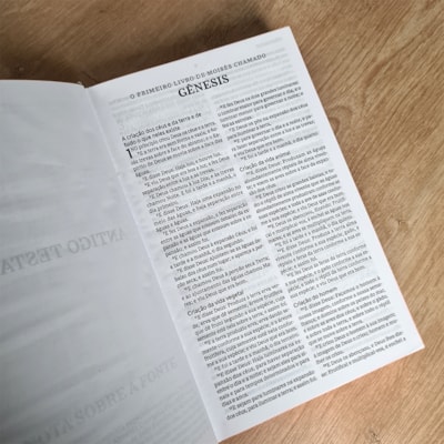 image_38954953-c9c6-4e55-ab54-3163ab64b68f